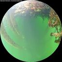 ./images/calvert/underwater/20260609/underwater20260609_081001M.jpg
