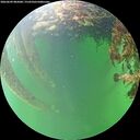 ./images/calvert/underwater/20260609/underwater20260609_082001M.jpg