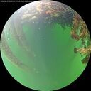 ./images/calvert/underwater/20260609/underwater20260609_082501M.jpg
