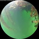 ./images/calvert/underwater/20260609/underwater20260609_083001M.jpg
