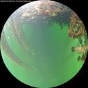 ./images/calvert/underwater/20260609/underwater20260609_083501M.jpg