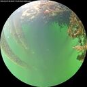 ./images/calvert/underwater/20260609/underwater20260609_084001M.jpg