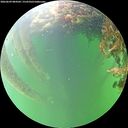 ./images/calvert/underwater/20260609/underwater20260609_084501M.jpg