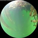 ./images/calvert/underwater/20260609/underwater20260609_085501M.jpg