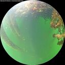 ./images/calvert/underwater/20260609/underwater20260609_090501M.jpg