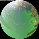 ./images/calvert/underwater/20260609/underwater20260609_091001M.jpg