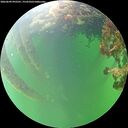 ./images/calvert/underwater/20260609/underwater20260609_092501M.jpg