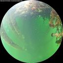 ./images/calvert/underwater/20260609/underwater20260609_093002M.jpg