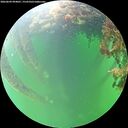 ./images/calvert/underwater/20260609/underwater20260609_094001M.jpg
