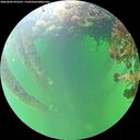 ./images/calvert/underwater/20260609/underwater20260609_095501M.jpg