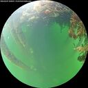 ./images/calvert/underwater/20260609/underwater20260609_100001M.jpg
