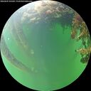 ./images/calvert/underwater/20260609/underwater20260609_101002M.jpg
