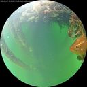 ./images/calvert/underwater/20260609/underwater20260609_101502M.jpg