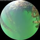 ./images/calvert/underwater/20260609/underwater20260609_102002M.jpg