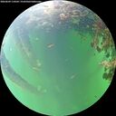 ./images/calvert/underwater/20260609/underwater20260609_110501M.jpg