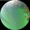 ./images/calvert/underwater/20260609/underwater20260609_112002M.jpg