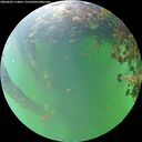 ./images/calvert/underwater/20260609/underwater20260609_113001M.jpg