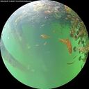 ./images/calvert/underwater/20260609/underwater20260609_114001M.jpg