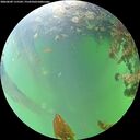 ./images/calvert/underwater/20260609/underwater20260609_115501M.jpg