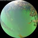 ./images/calvert/underwater/20260609/underwater20260609_120501M.jpg