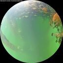 ./images/calvert/underwater/20260609/underwater20260609_122501M.jpg