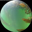 ./images/calvert/underwater/20260609/underwater20260609_123501M.jpg