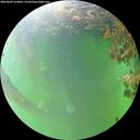 ./images/calvert/underwater/20260609/underwater20260609_124002M.jpg