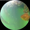 ./images/calvert/underwater/20260609/underwater20260609_124501M.jpg