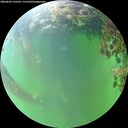 ./images/calvert/underwater/20260609/underwater20260609_125501M.jpg