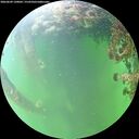 ./images/calvert/underwater/20260609/underwater20260609_130001M.jpg