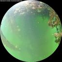 ./images/calvert/underwater/20260609/underwater20260609_132001M.jpg