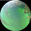 ./images/calvert/underwater/20260609/underwater20260609_135501M.jpg