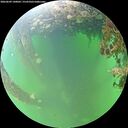 ./images/calvert/underwater/20260609/underwater20260609_140002M.jpg