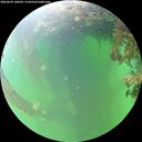 ./images/calvert/underwater/20260609/underwater20260609_140501M.jpg