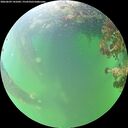 ./images/calvert/underwater/20260609/underwater20260609_141001M.jpg