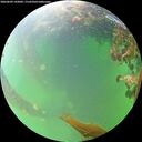 ./images/calvert/underwater/20260609/underwater20260609_142002M.jpg