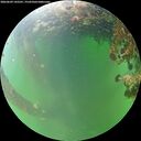 ./images/calvert/underwater/20260609/underwater20260609_142501M.jpg