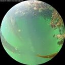 ./images/calvert/underwater/20260609/underwater20260609_143002M.jpg