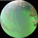 ./images/calvert/underwater/20260609/underwater20260609_144001M.jpg