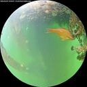 ./images/calvert/underwater/20260609/underwater20260609_144501M.jpg
