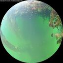 ./images/calvert/underwater/20260609/underwater20260609_145501M.jpg