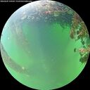 ./images/calvert/underwater/20260609/underwater20260609_150502M.jpg