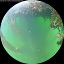 ./images/calvert/underwater/20260609/underwater20260609_151002M.jpg