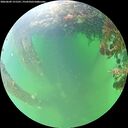 ./images/calvert/underwater/20260609/underwater20260609_151501M.jpg