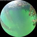 ./images/calvert/underwater/20260609/underwater20260609_152002M.jpg