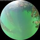 ./images/calvert/underwater/20260609/underwater20260609_152501M.jpg