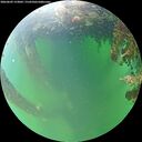 ./images/calvert/underwater/20260609/underwater20260609_153002M.jpg
