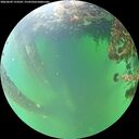 ./images/calvert/underwater/20260609/underwater20260609_153501M.jpg