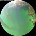./images/calvert/underwater/20260609/underwater20260609_154502M.jpg