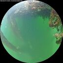 ./images/calvert/underwater/20260609/underwater20260609_155001M.jpg